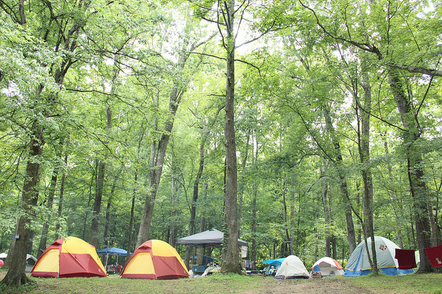 tent camping at wild goose