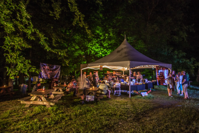 About Wild Goose Festival